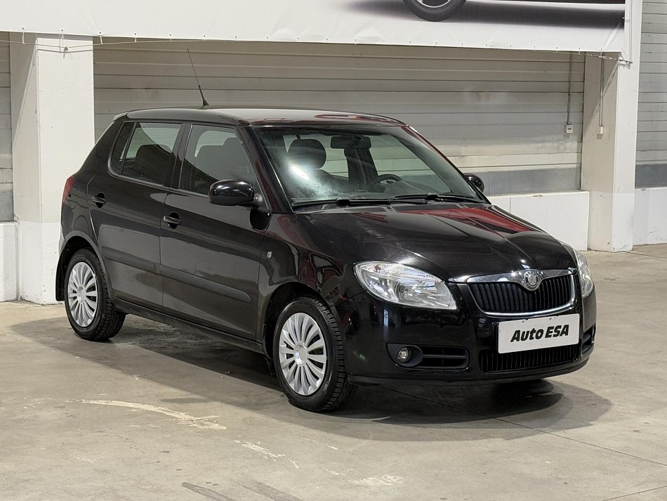 Škoda Fabia II 1.2 12V 