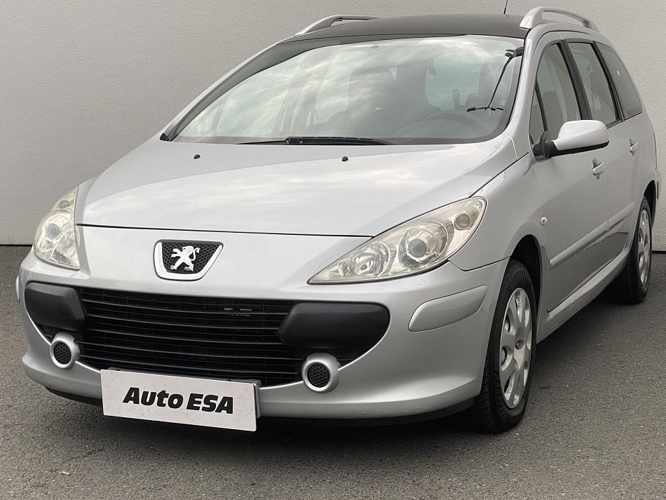 Peugeot 307 1.6 i 