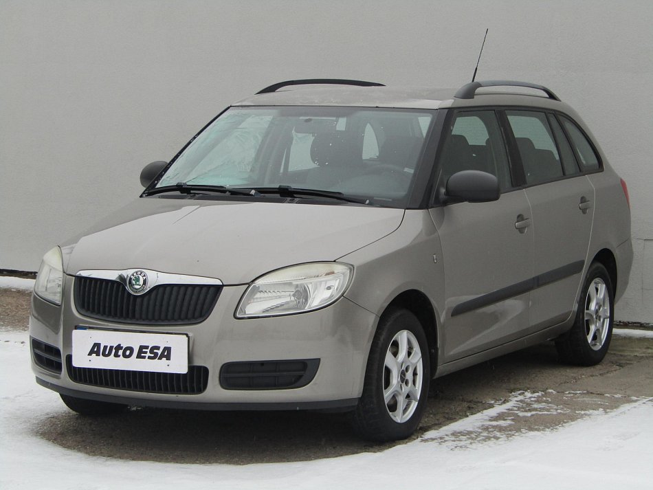 Škoda Fabia II 1.2 12V 