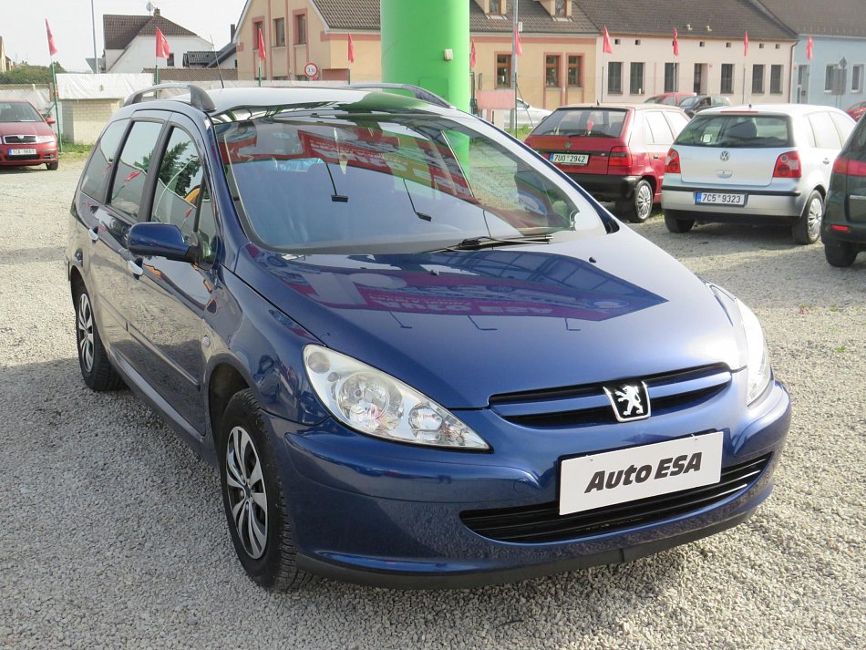 Peugeot 307 1.6 i 